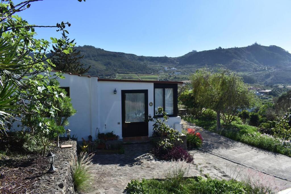 הוילה Tegueste Casita De La Montana De Maria מראה חיצוני תמונה